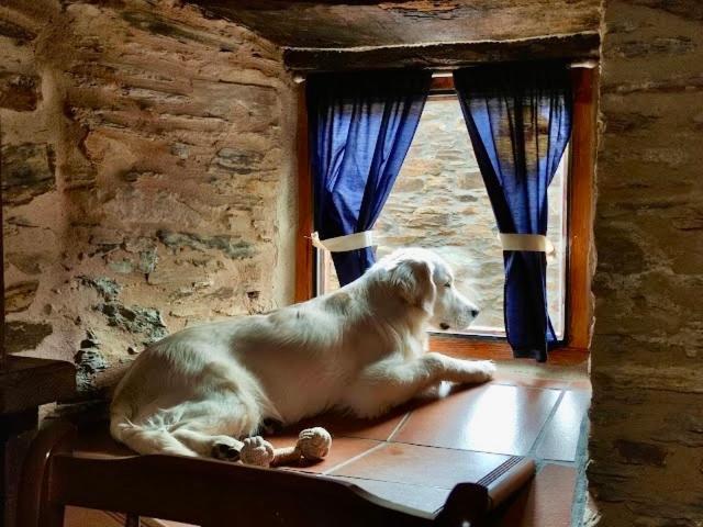 Casa Rural Bierzo Encantado Valle de Finolledo ภายนอก รูปภาพ